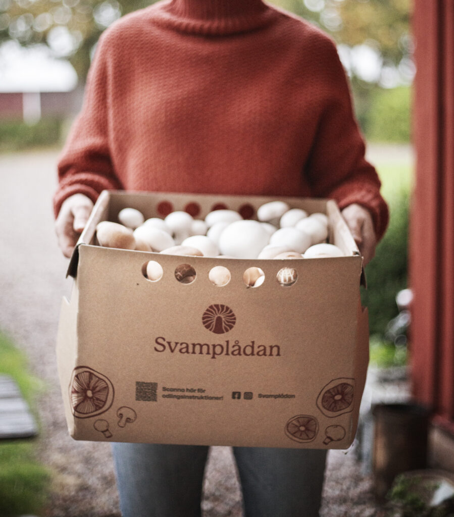 Svamplåda med svampar